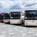 Автобусы<br>более 2,5-3,5 тонн